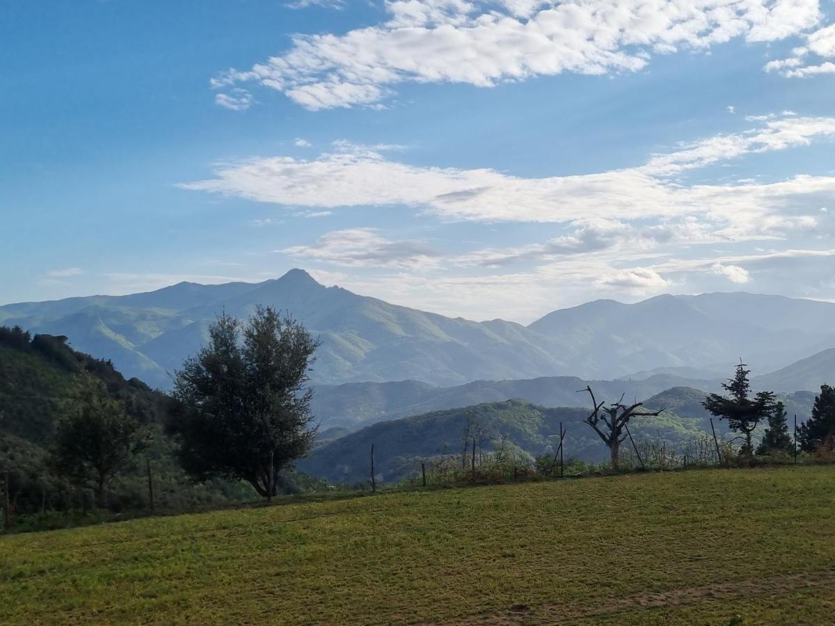 Ca La Pauleta Villa Sant Hilari Sacalm Ngoại thất bức ảnh